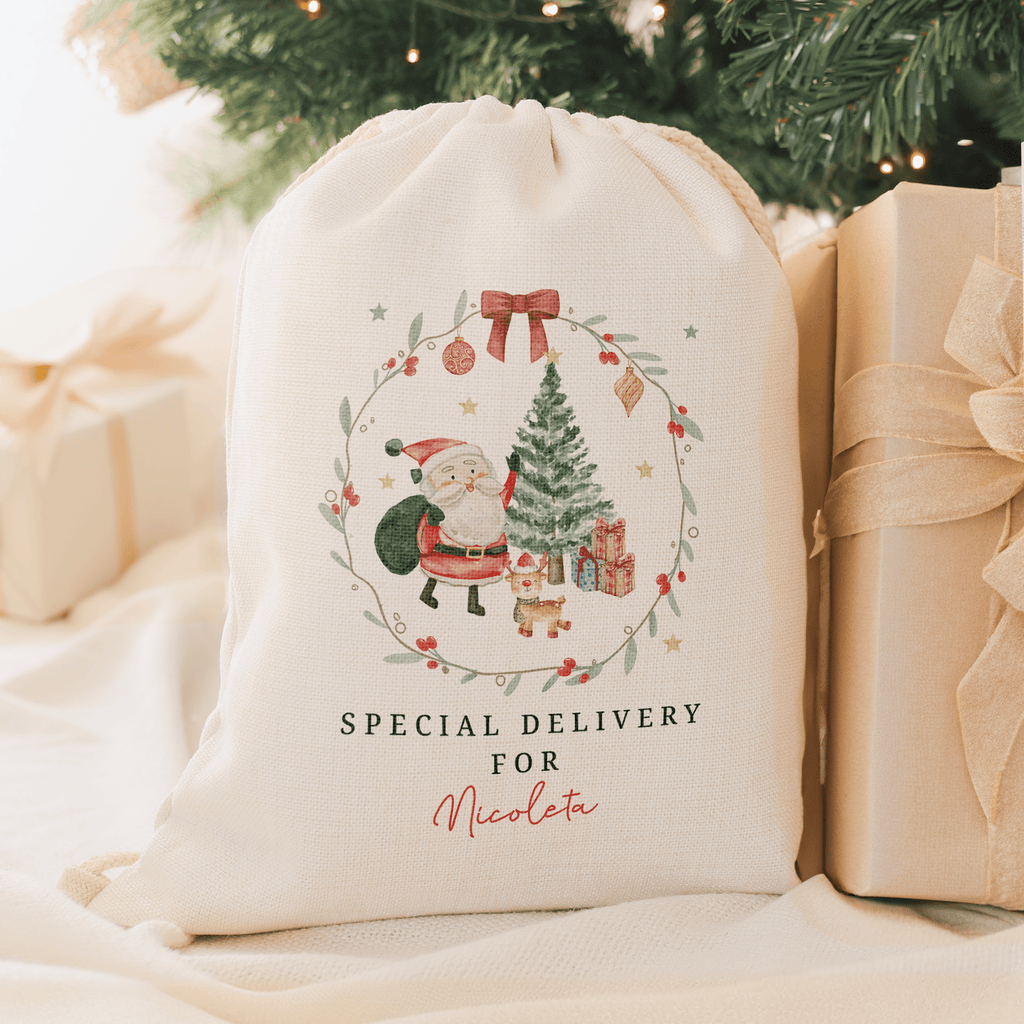 Santa Special Delivery - Christmas Drawstring Sack - GOTShirts