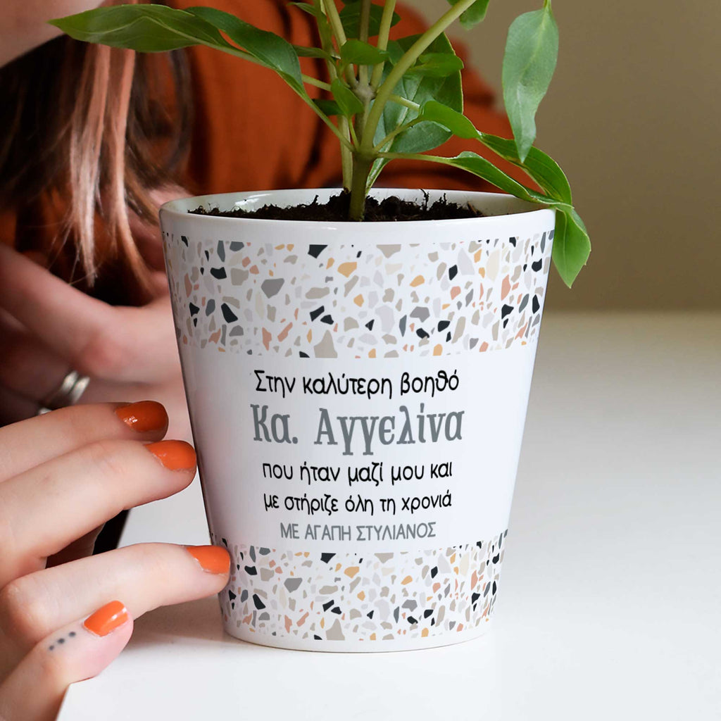 Best School Assistant - Flower Pot - GOTShirts