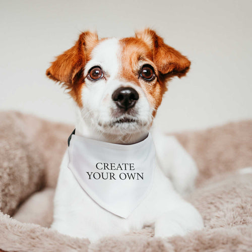 Pets Accessories
