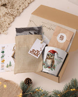 Christmas Owl Teacher - Flower Pot - GOTShirts