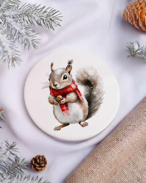 Squirrel - Ceramic Mug 11oz & Coaster Gift Box - GOTShirts