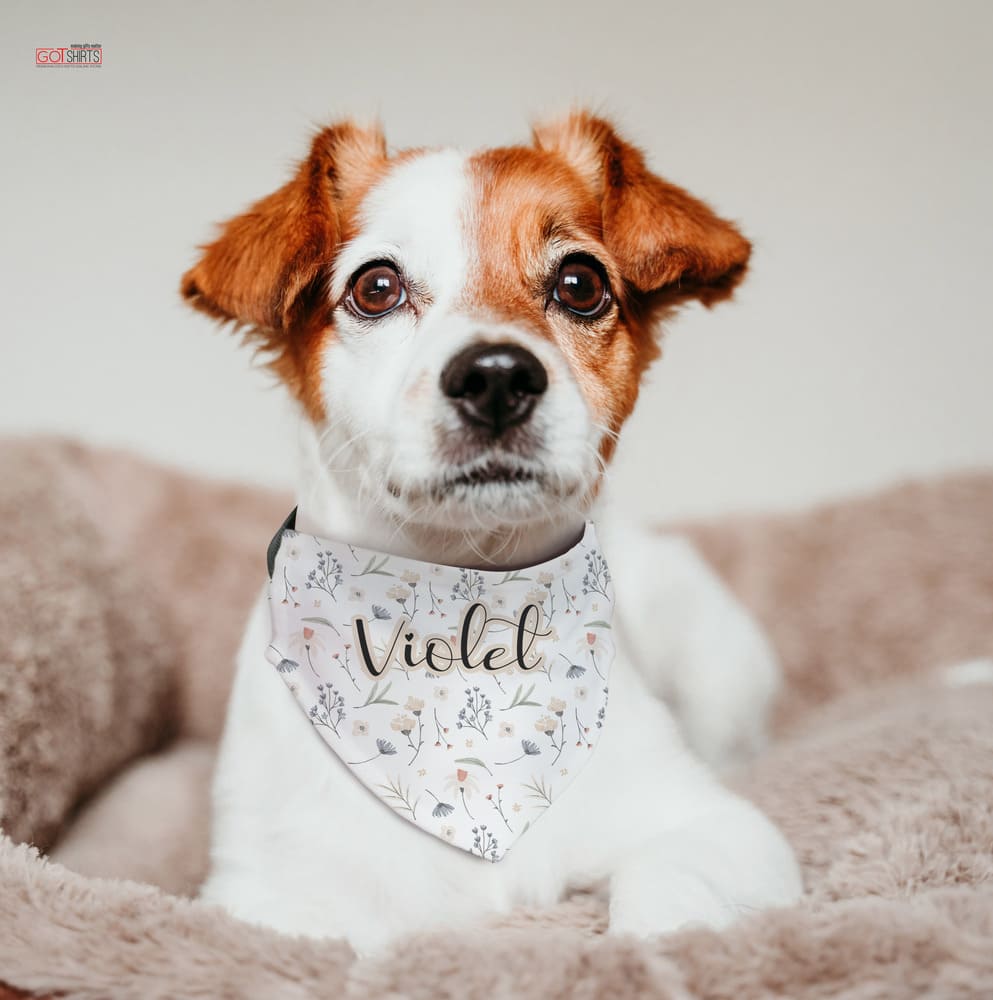Pet Bandana - GOTShirts